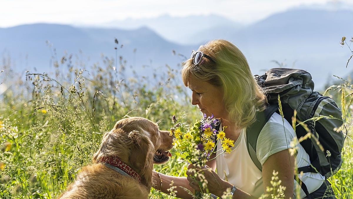 Wedrówki z naszym golden retrieverem, ulubiencem wszystkich dzieci