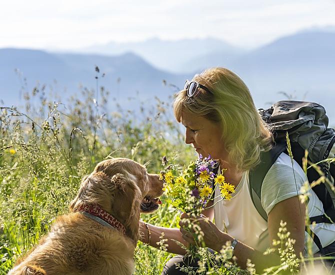 Wedrówki z naszym golden retrieverem, ulubiencem wszystkich dzieci