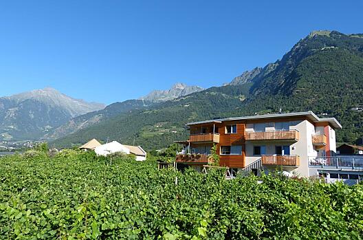 Gospodarstwo Weinmesserhof na terenie winnicy