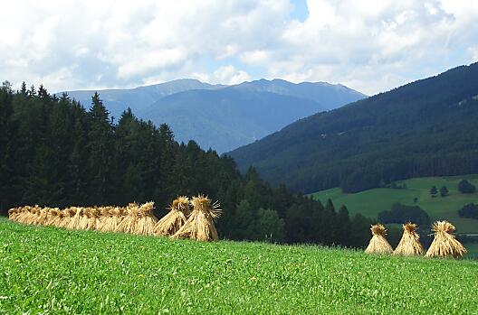 Altmessnerhof - Lista Photo