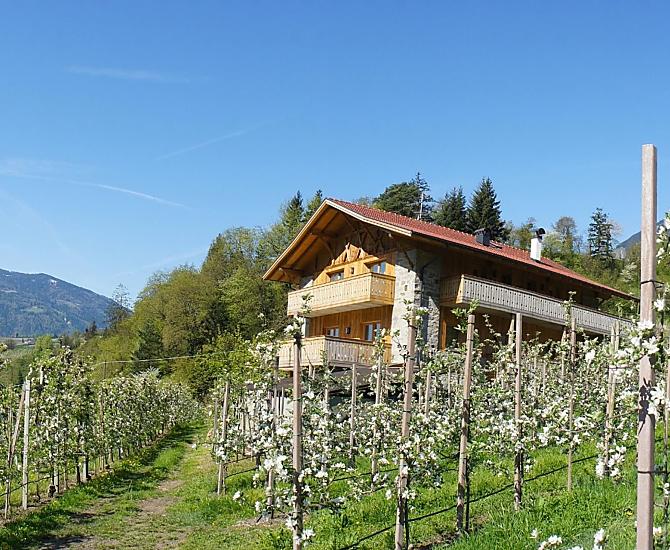 Grannerhof - Galeria zdjęć Photo