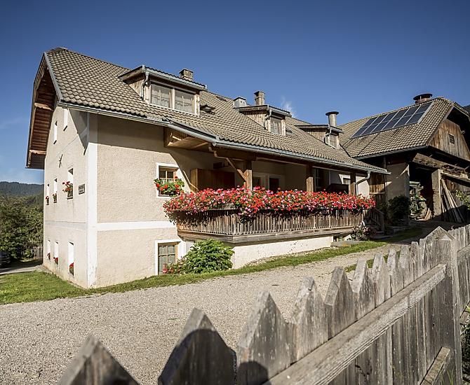 Neuwirt - Galeria zdjęć Photo