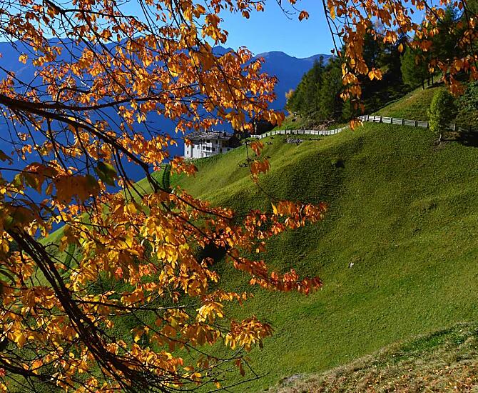 Pirchhof - Galeria zdjęć Photo