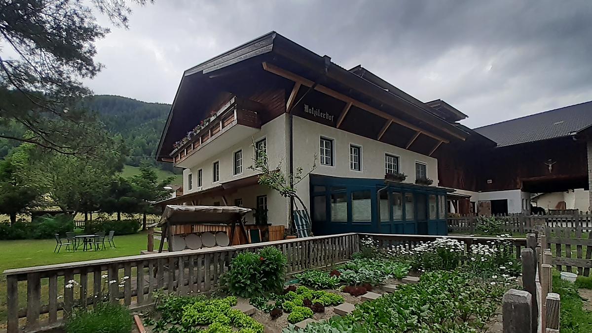 Letni poranek