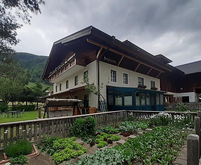 Letni poranek