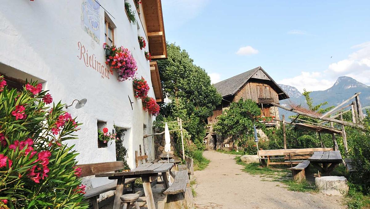 Rielinger-Hof - Galeria zdjęć Photo