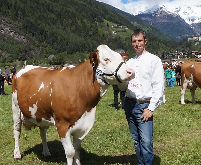 Farmer Andreas na wystawie bydla