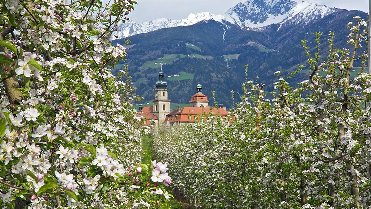 Schlettererhof - Galeria zdjęć Photo
