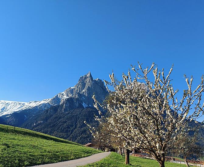 Treffhof - Galeria zdjęć Photo