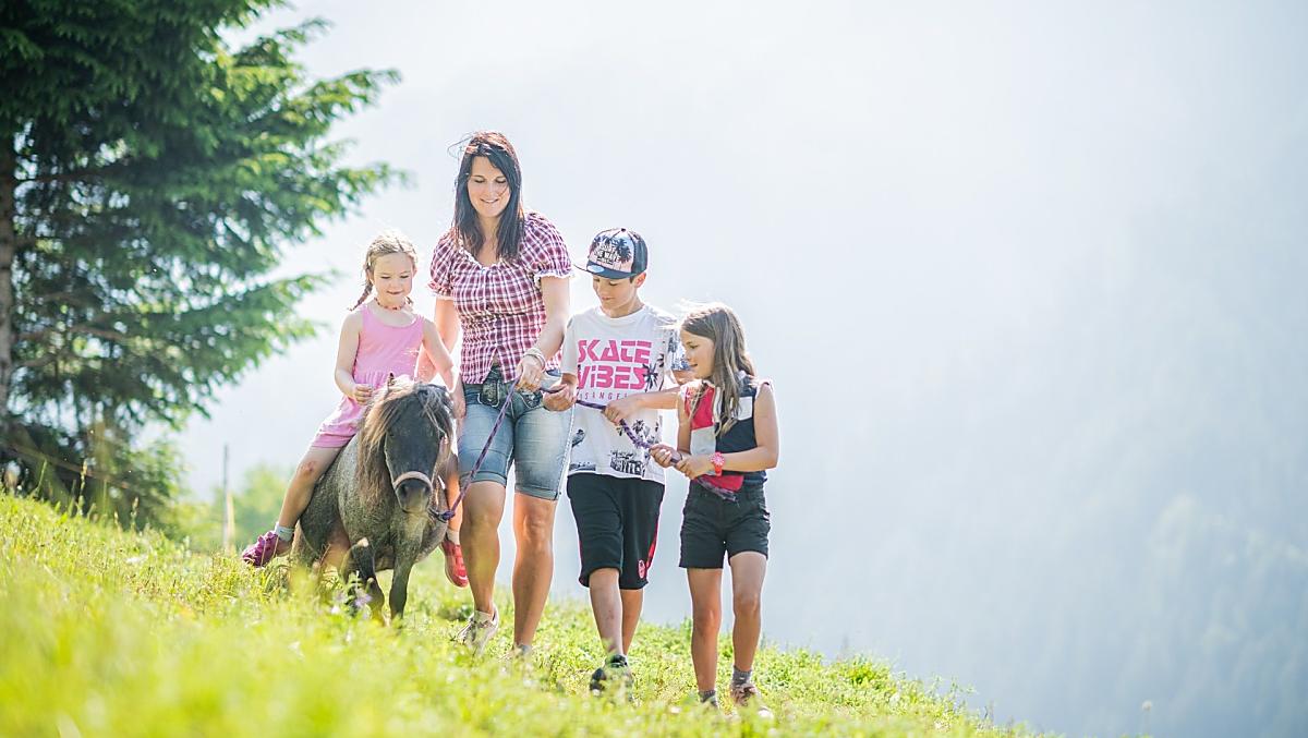 Tiscion - Galeria zdjęć Photo