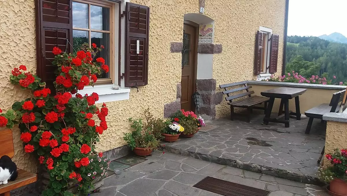 Steinerhof - Galeria zdjęć Photo