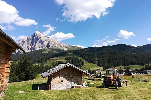 Trieferhof - Lista Photo
