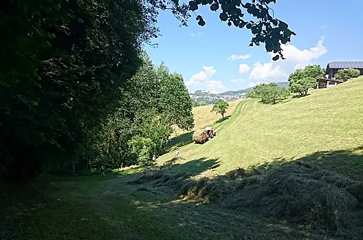 Praca z sianem
