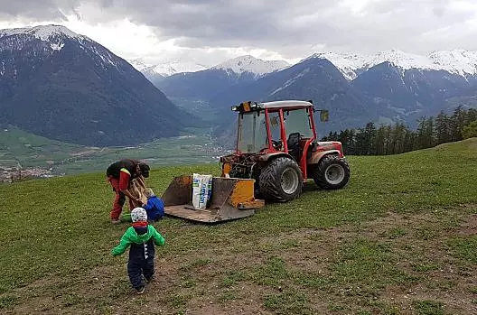 Zasianie laki, aby latem wyrosla swieza trawa