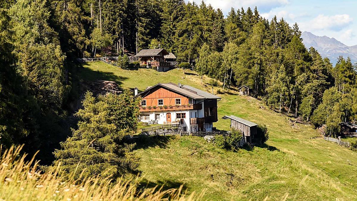 Widok z daleka