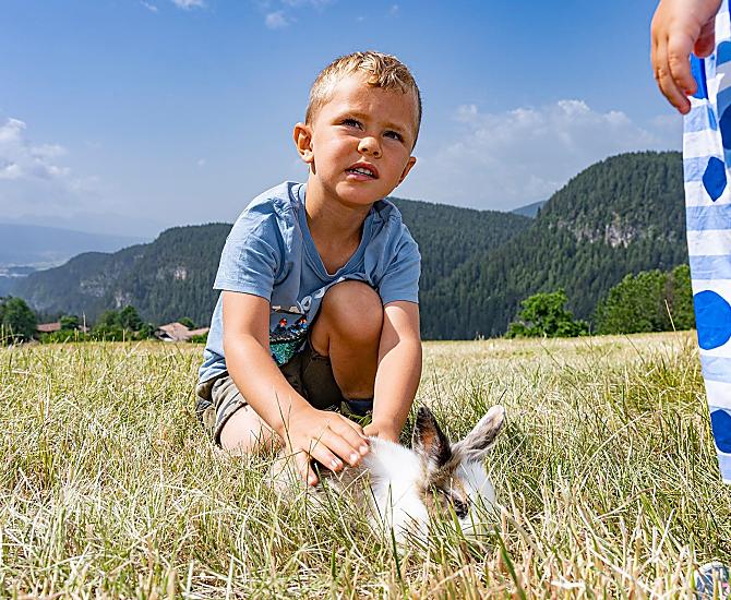 Reinhof - Galeria zdjęć Photo