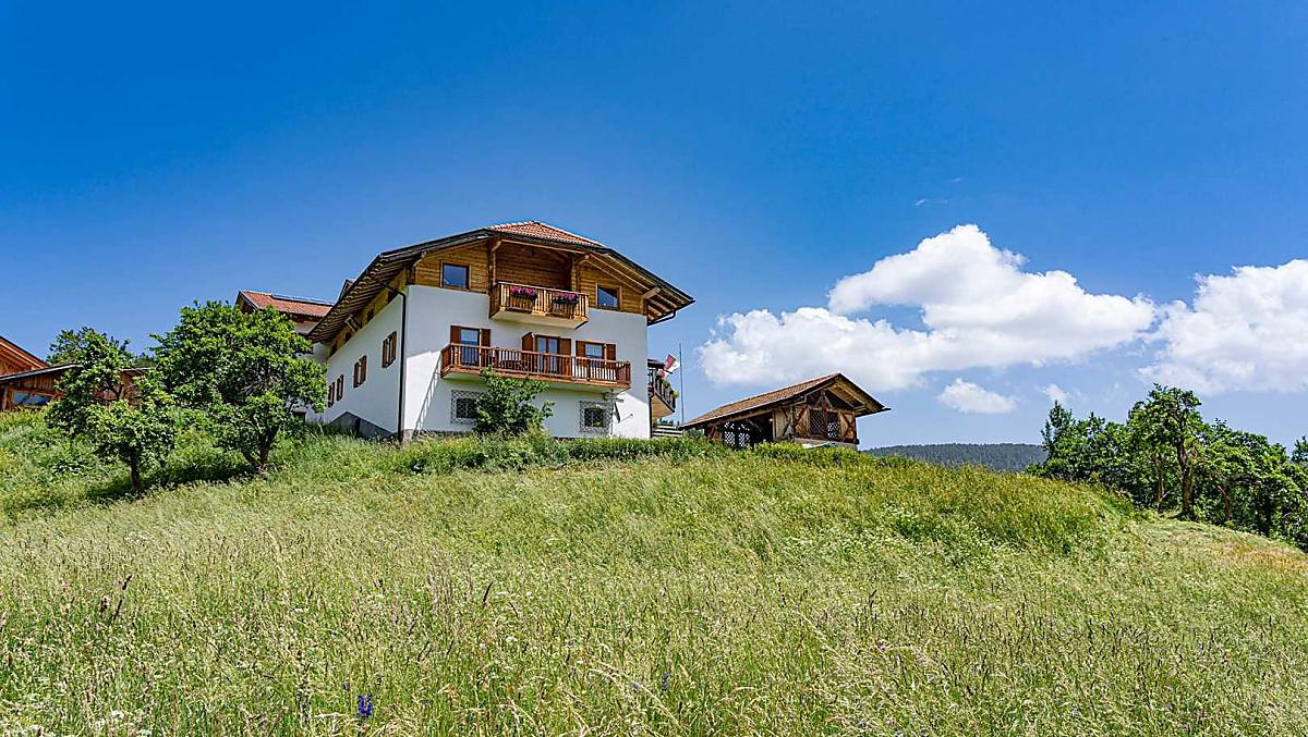 Reinhof - Galeria zdjęć Photo