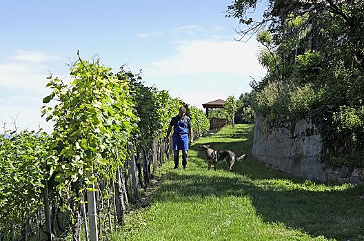 Engadinerhof - Lista Photo