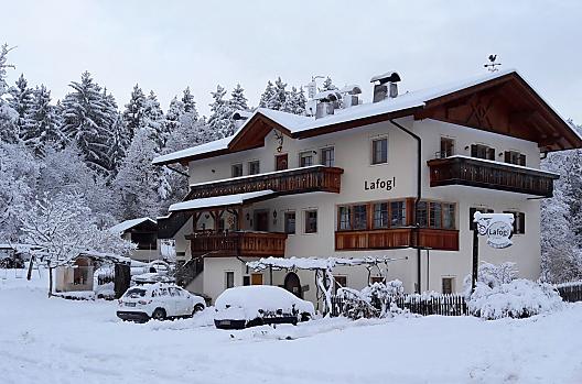 Lafogl - Lista Photo