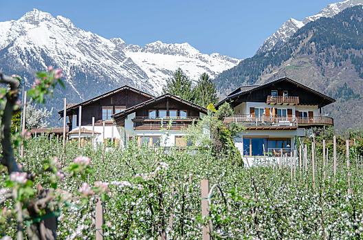 Moosbichlerhof - Lista Photo