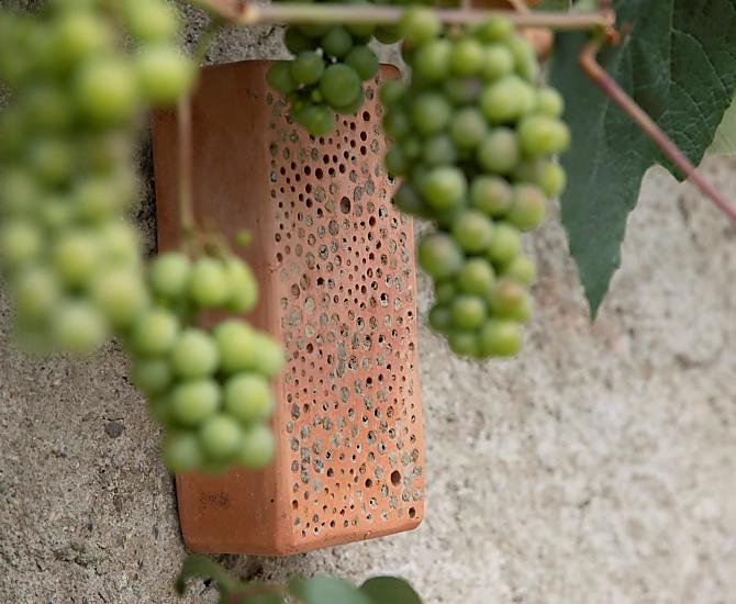 Insektenhotel