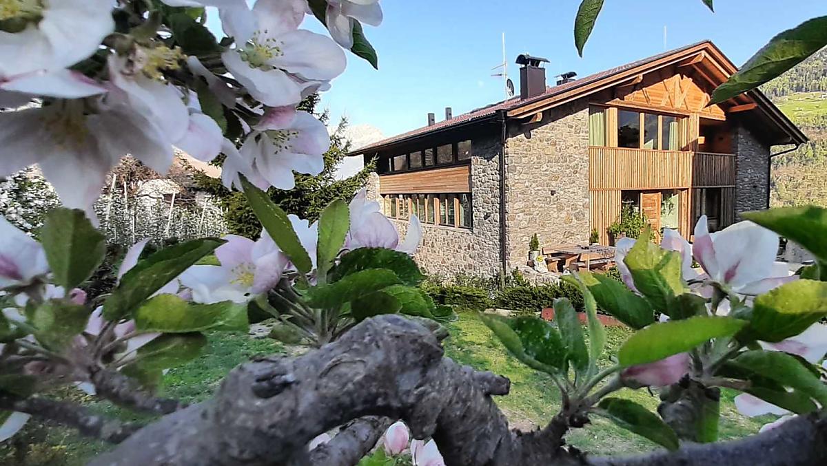 Frühling