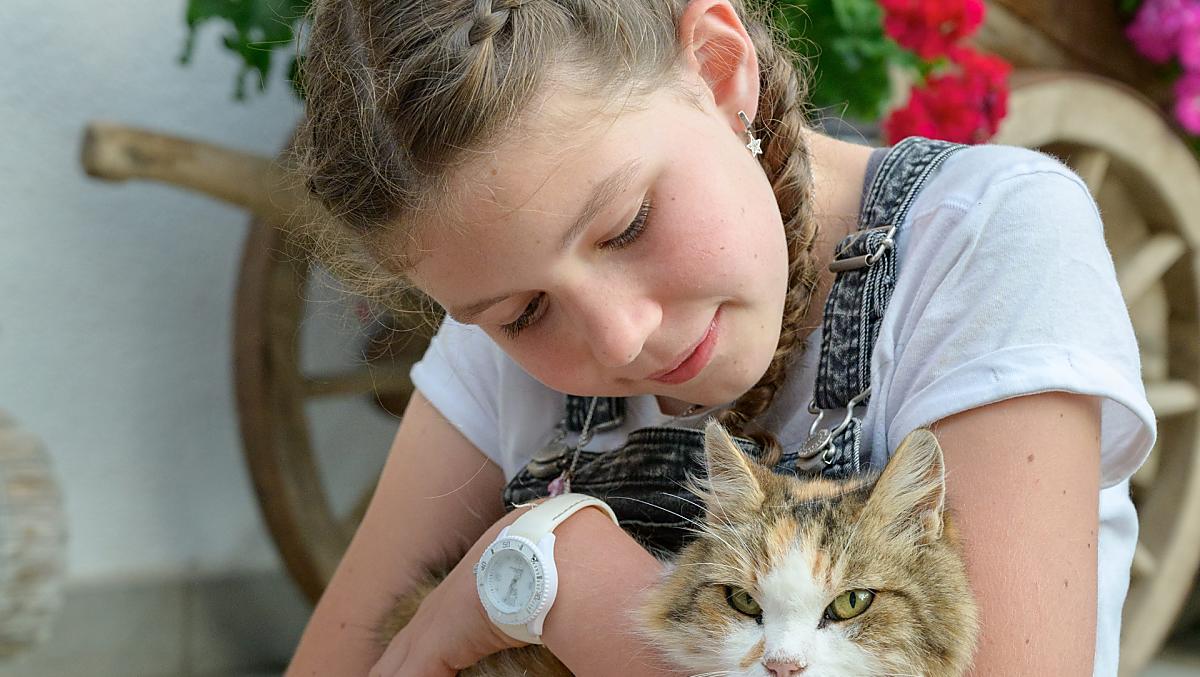 Nasza droga Kitty cieszy się każdym głaskaniem.
