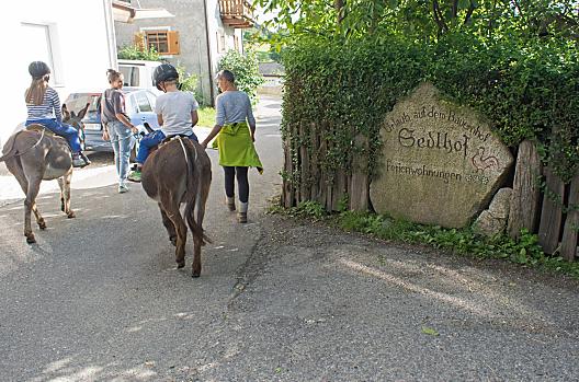 Sedlhof - Lista Photo
