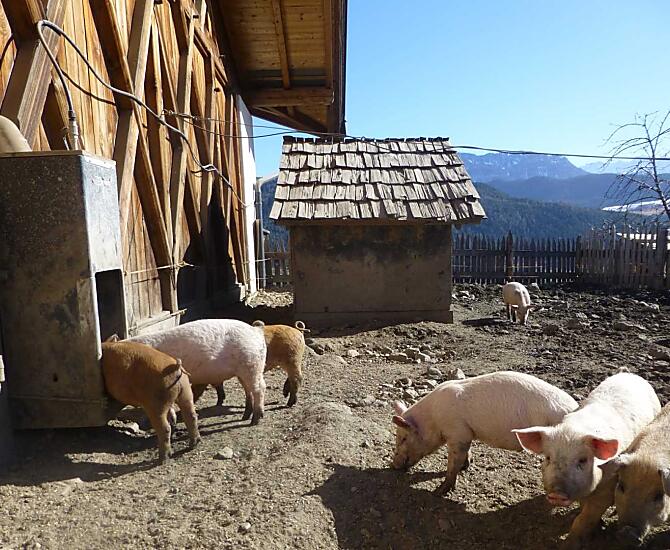 Winklerhof - Galeria zdjęć Photo