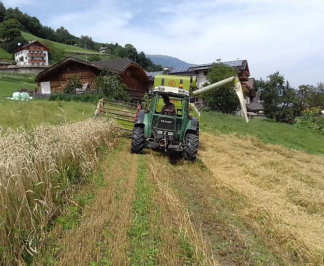 Winklerhof - Galeria zdjęć Photo