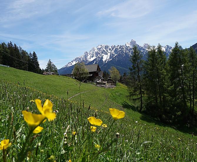 Oberthalmannhof - Galeria zdjęć Photo