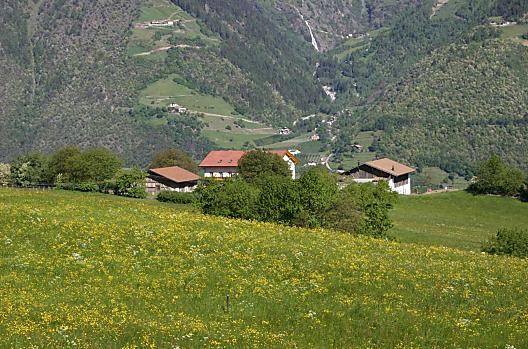 Niederhof - Lista Photo