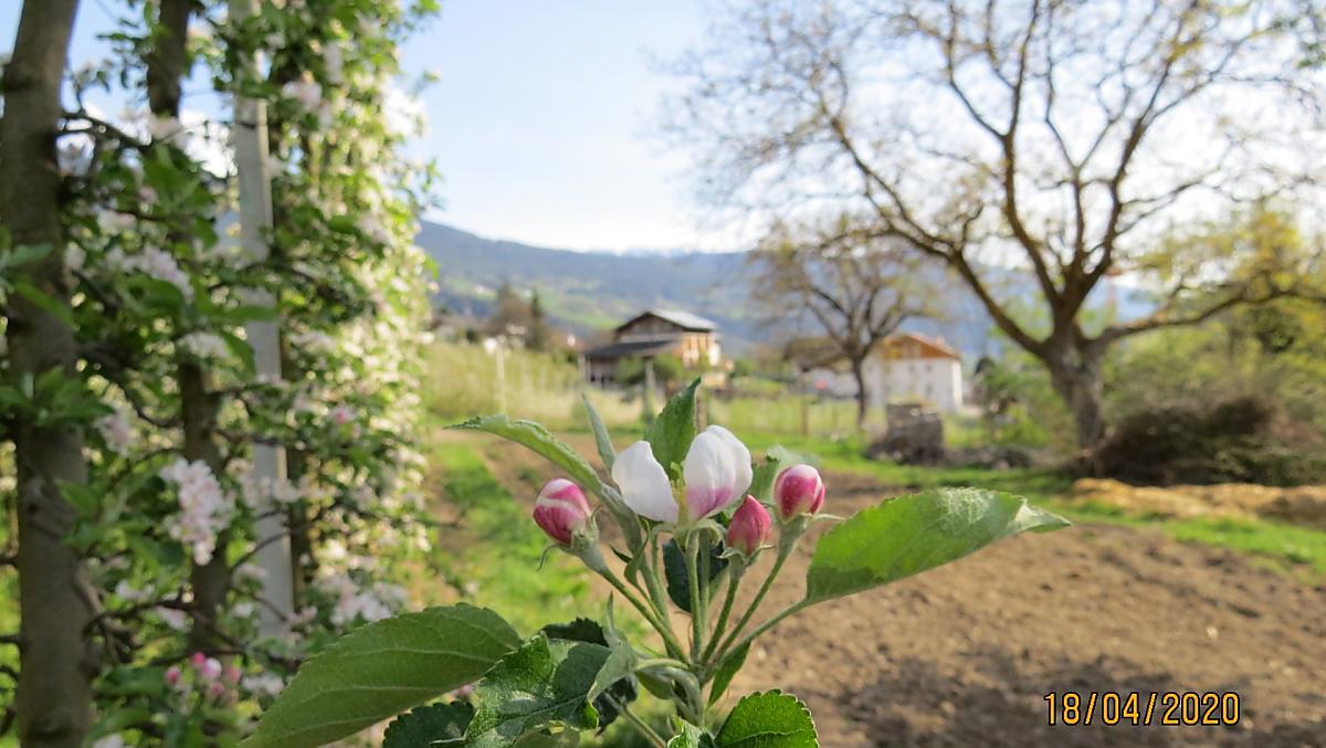 Frühling