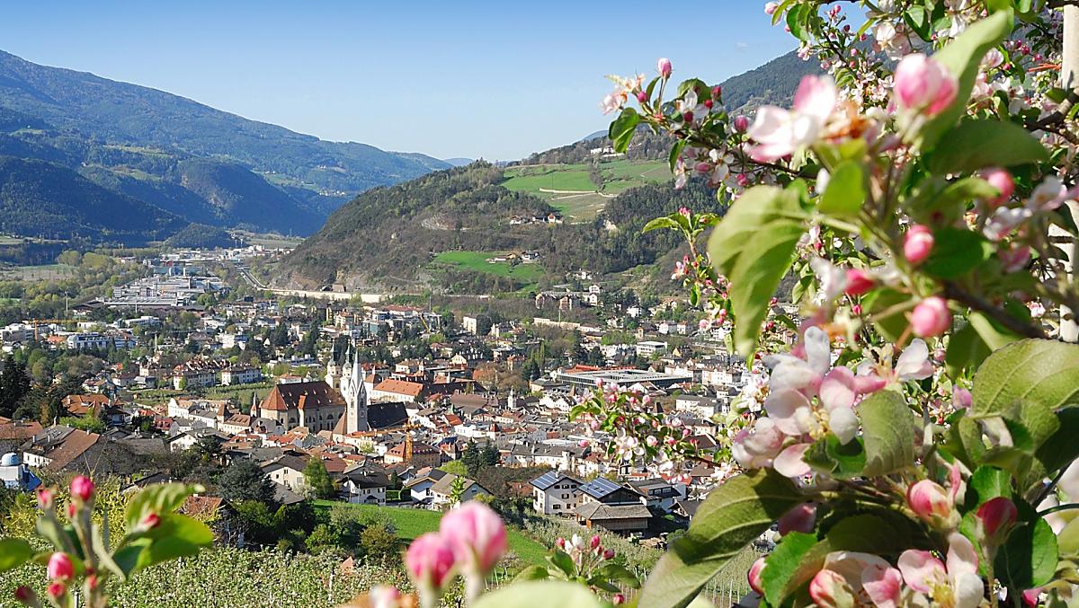 Frühling