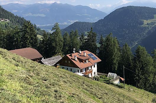 Ringgelinhof - Lista Photo