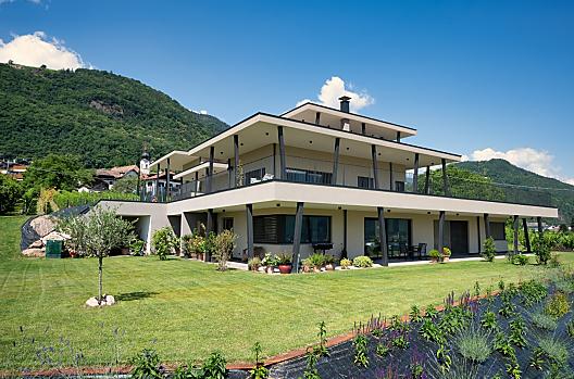 Ortus - Lista Photo