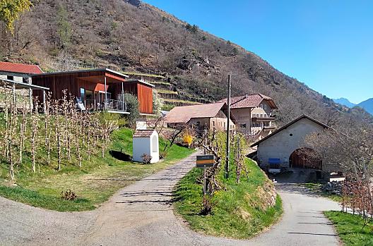 Ferienhaus Falzrohr - Lista Photo