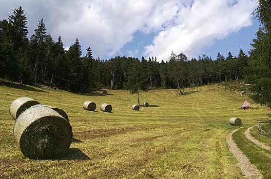 Tholer Hof - Lista Photo