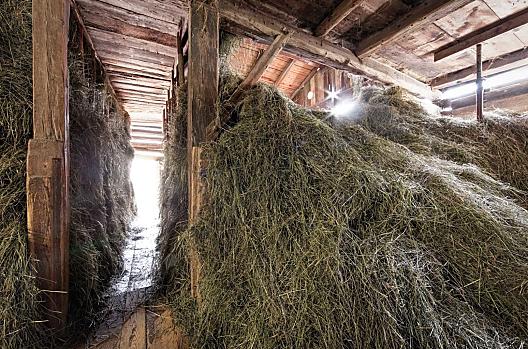 Oberniederhof - Lista Photo