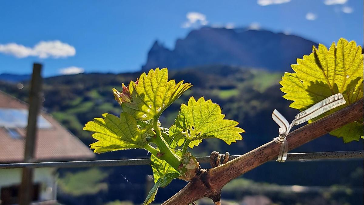 Frühling