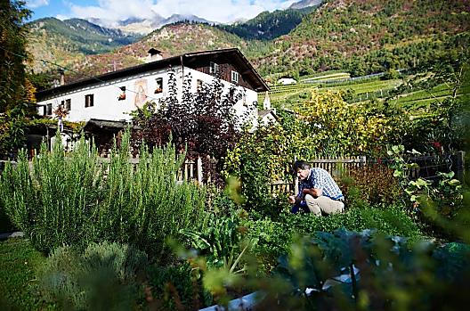 Schnalshuberhof - Lista Photo
