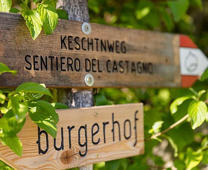 Der Burgerhof liegt direkt am Keschtnweg