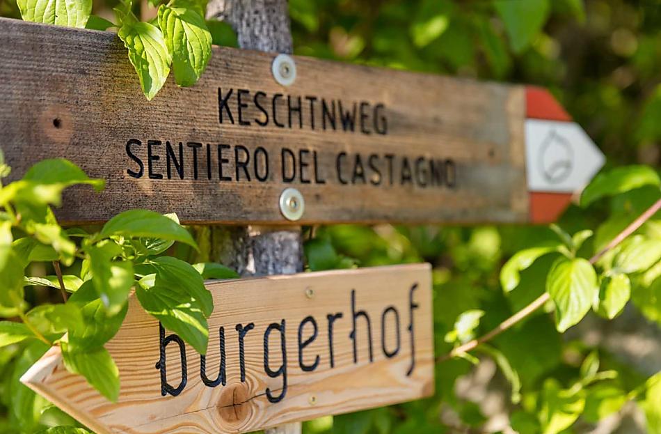Der Burgerhof liegt direkt am Keschtnweg