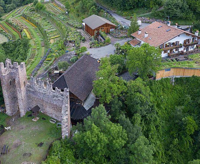 Pflegerhof - Galeria zdjęć Photo
