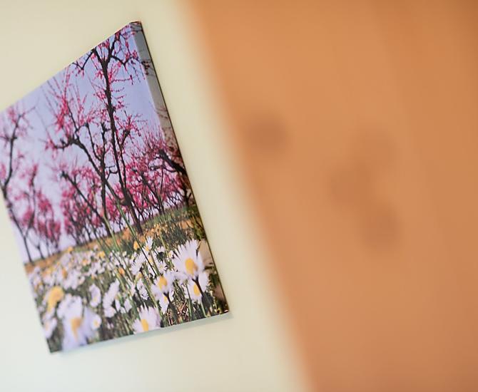 Eich-Hof - Galeria zdjęć Photo