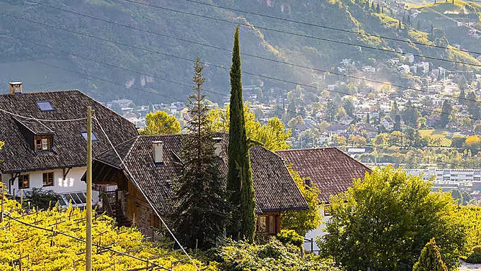 Die Kochschule am Bauernhof in Südtirol