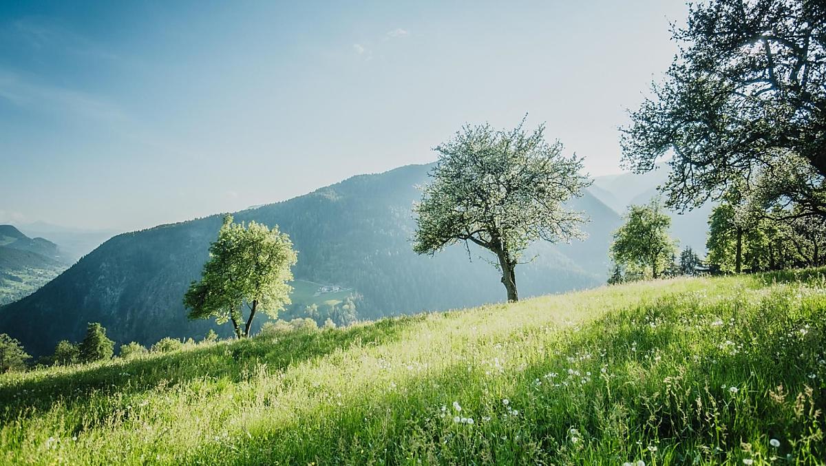 Frühling