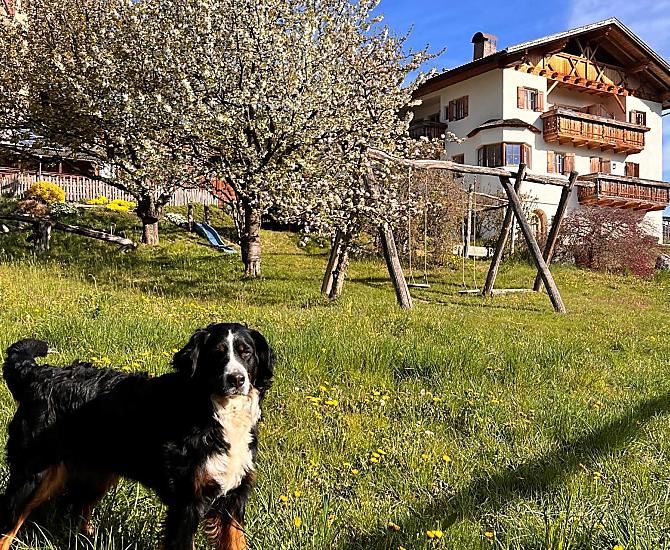 Gasserhof - Galeria zdjęć Photo