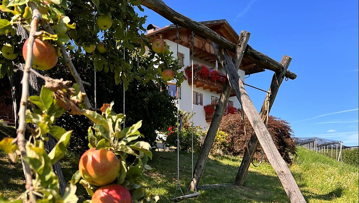 Gasserhof - Galeria zdjęć Photo