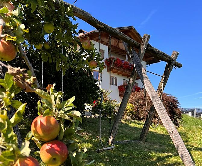 Gasserhof - Galeria zdjęć Photo